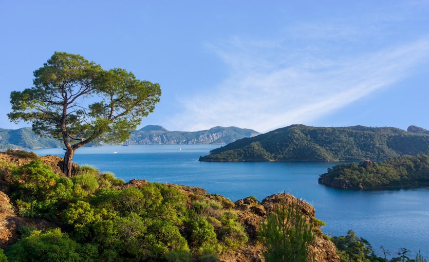 Bordubet Koyu Marmaris